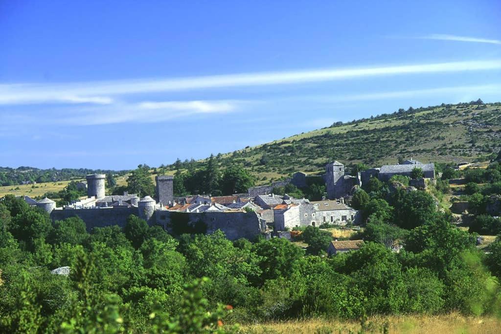 La Maison Huguetoune Nant المظهر الخارجي الصورة