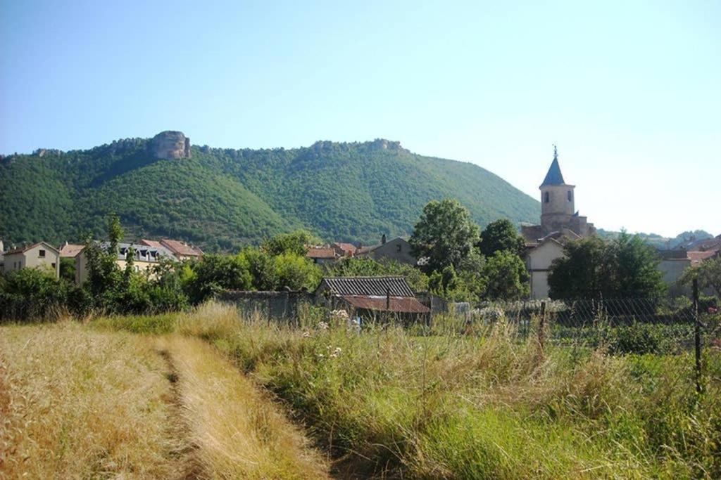 La Maison Huguetoune Nant المظهر الخارجي الصورة