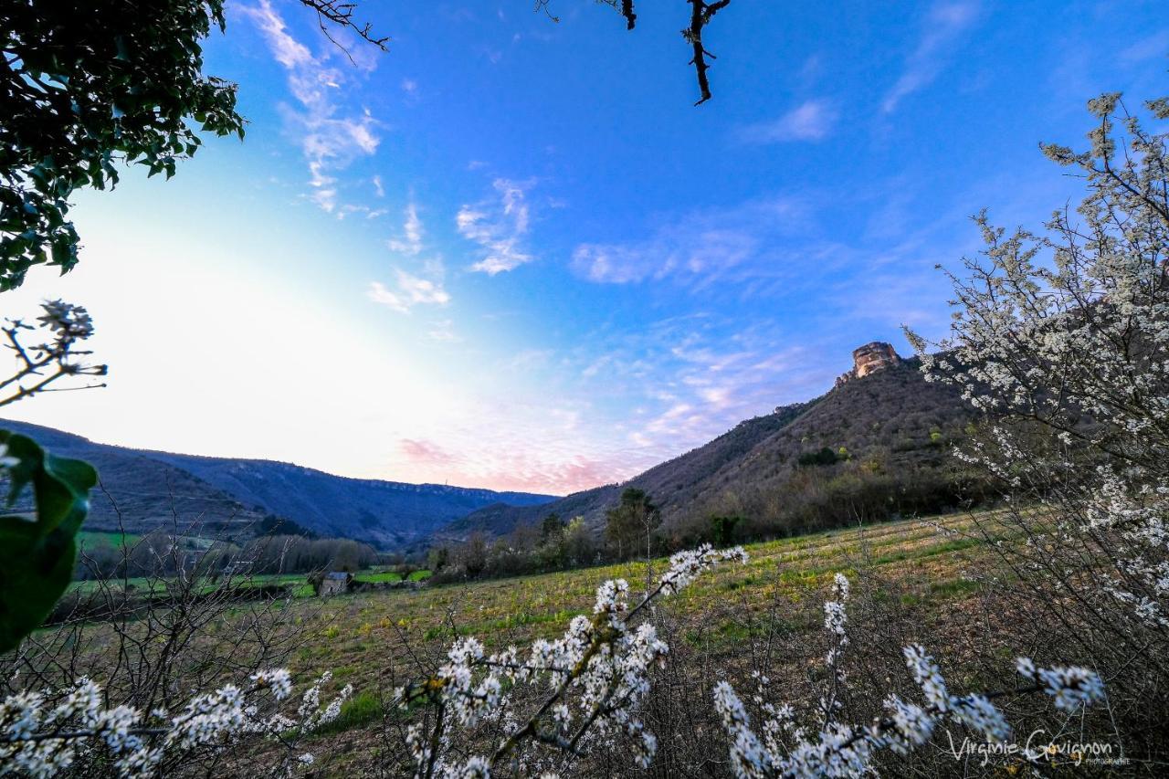 La Maison Huguetoune Nant المظهر الخارجي الصورة